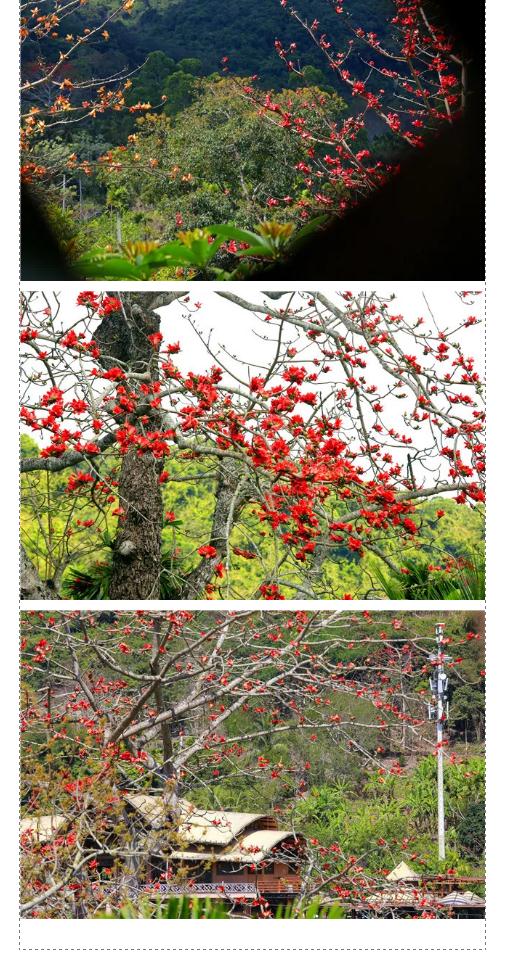 微信截圖_20190221112624