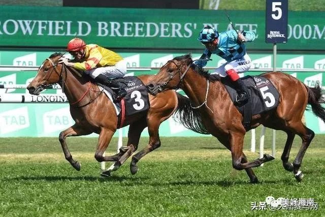 微信圖片_20190310151006