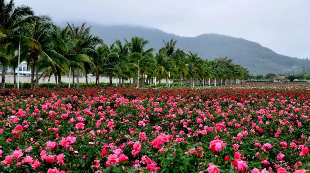 微信圖片_20190508110222