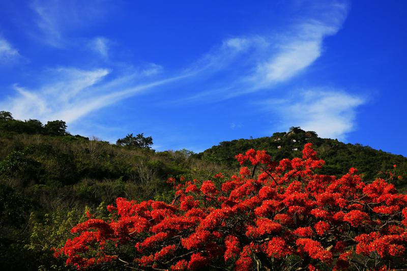 微信圖片_20190514175536(1)