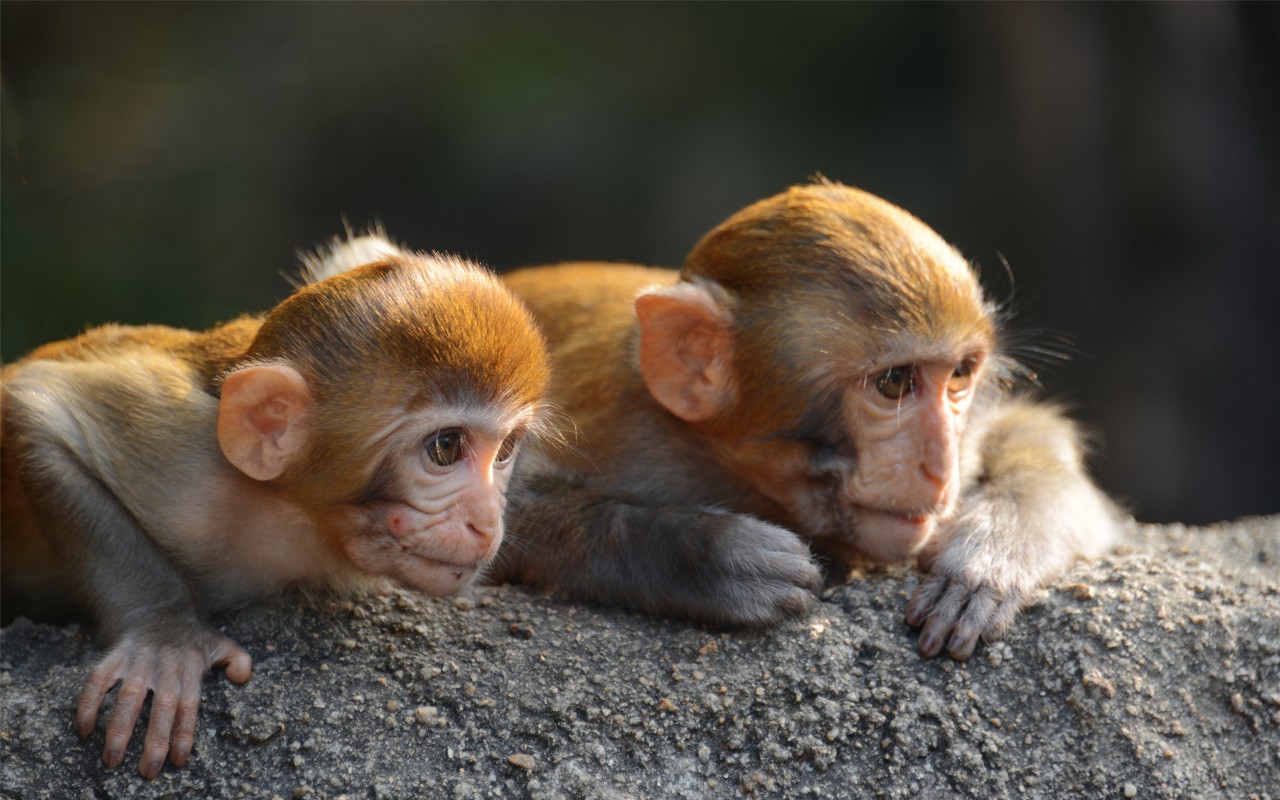 微信圖片_20190517145632 微信圖片_20190517145632