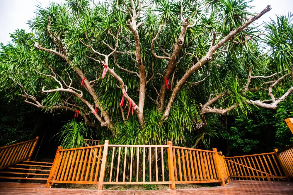 微信圖片_20190517084343