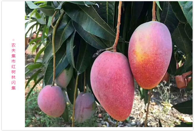 微信截圖_20190523181924 微信截圖_20190523181924