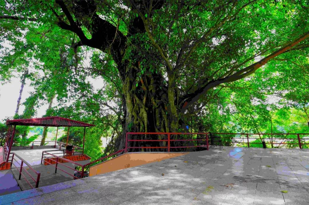 微信圖片_20190527194914