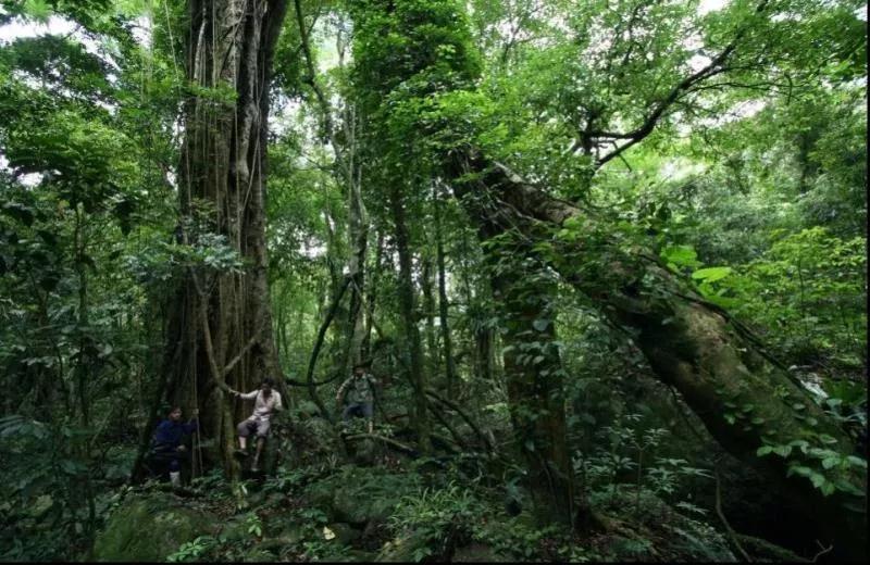 微信圖片_20190527194851