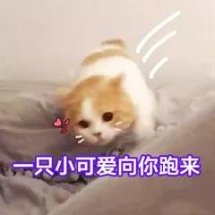 微信圖片_20190531090727