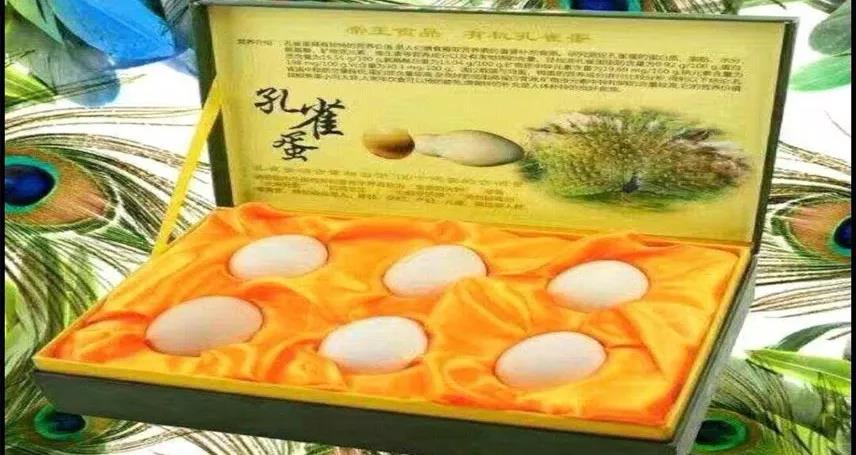 微信圖片_20190603092051 微信圖片_20190603092051