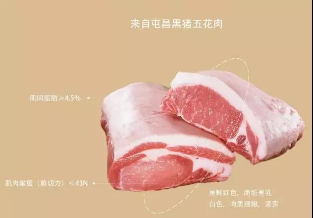 微信圖片_20190603095530 微信圖片_20190603095530