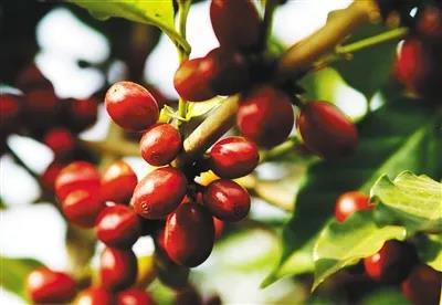 微信圖片_20190606113526