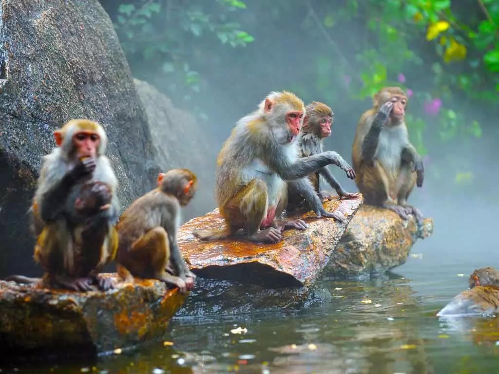 微信圖片_20190606113356