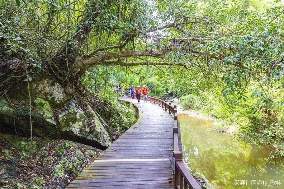 微信圖片_20190624180106