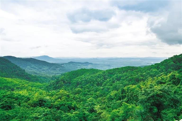 微信圖片_20190624180213