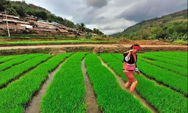 微信圖片_20190624180131