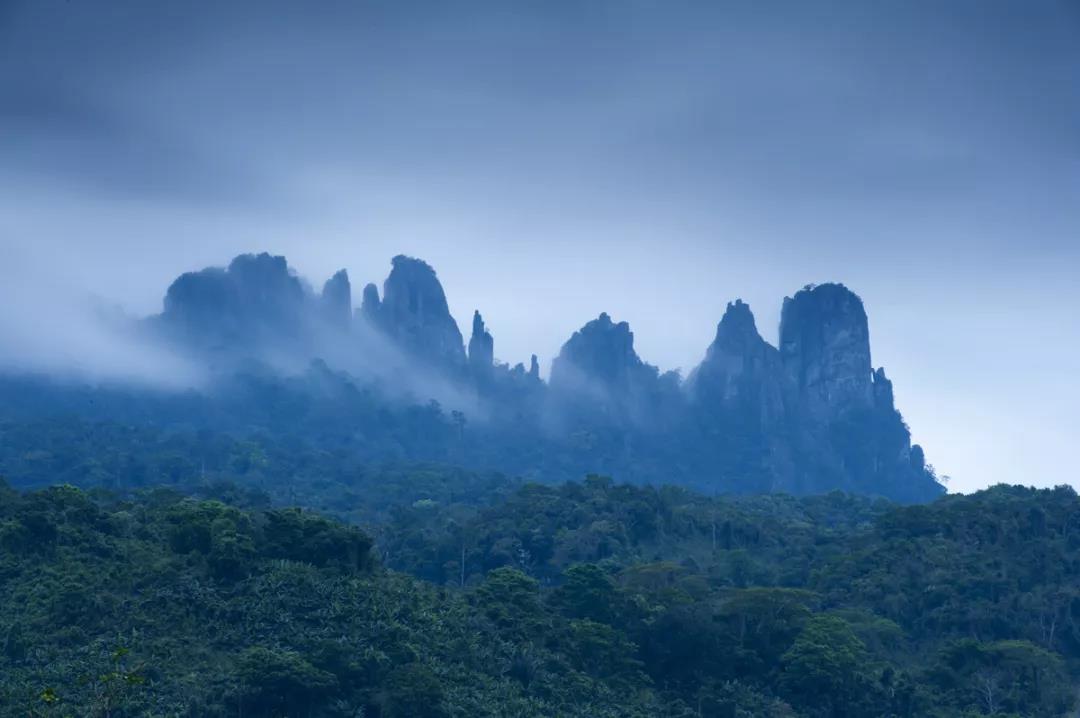 微信圖片_20190624180202