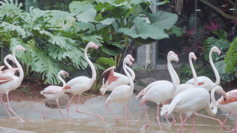 微信圖片_20190718153623