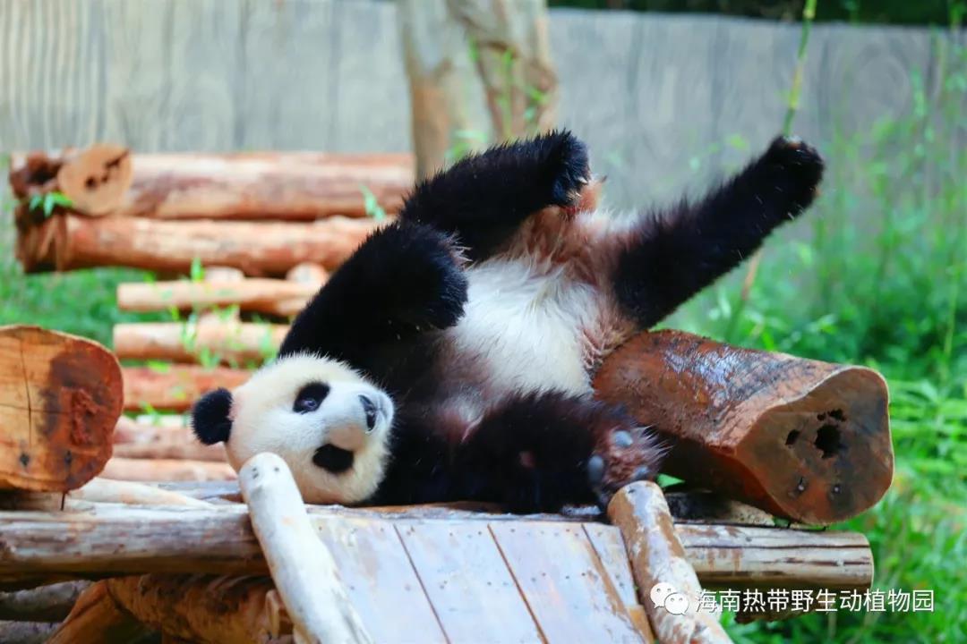 微信圖片_20190718153527