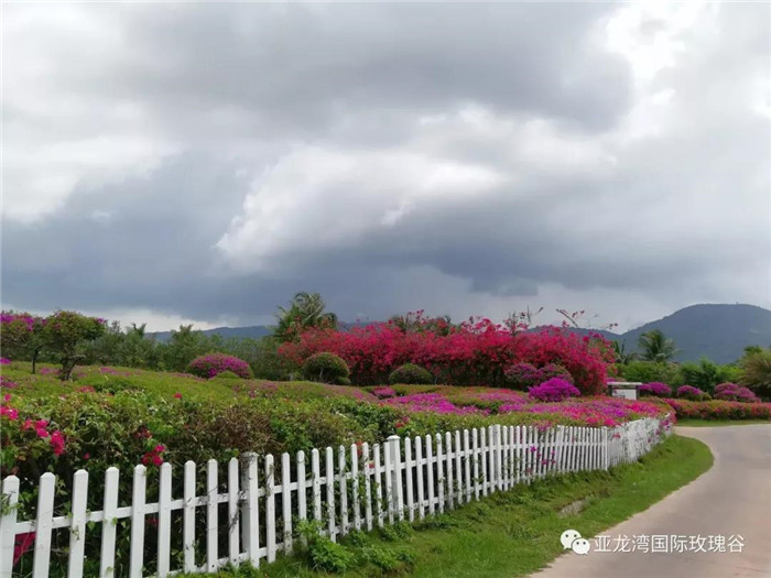 微信圖片_20190718164337