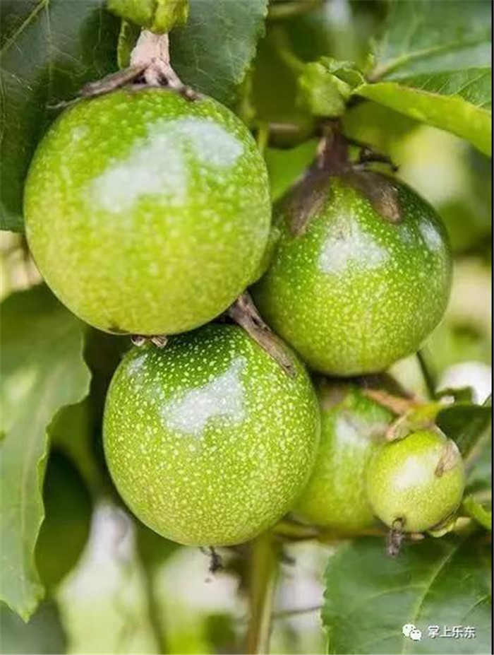 微信圖片_20190801085343 微信圖片_20190801085343