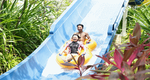 微信圖片_20190803154637