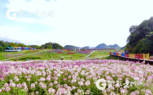 00303556541_42f7e2d6