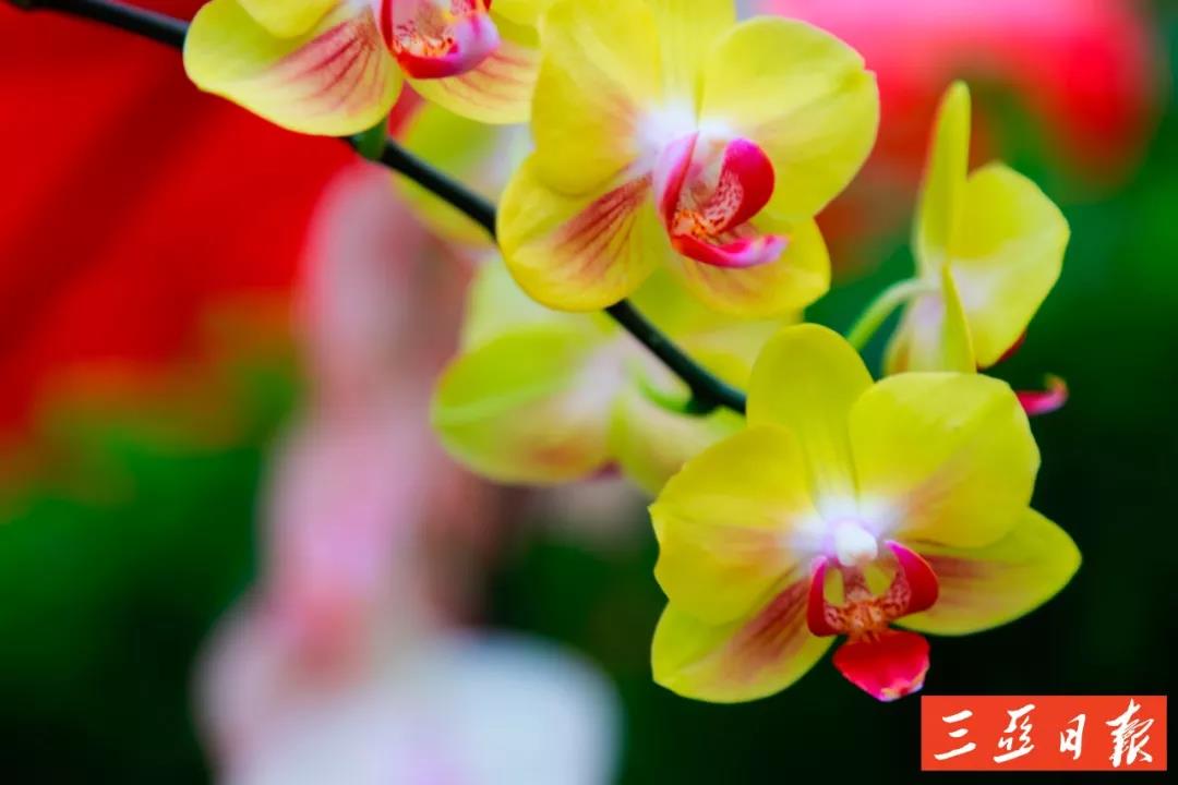 微信圖片_20191205171646