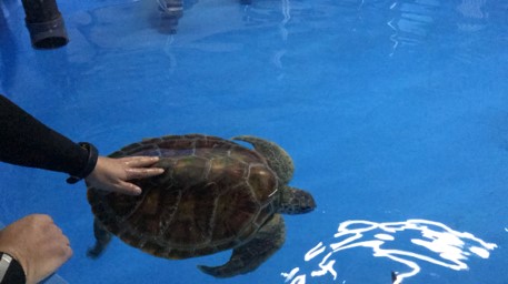 微信圖片_20200213163804