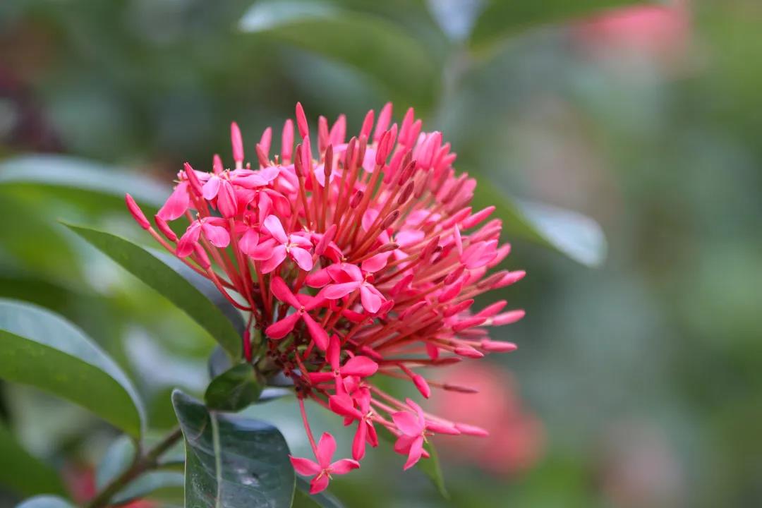 微信圖片_20200326094210 微信圖片_20200326094210