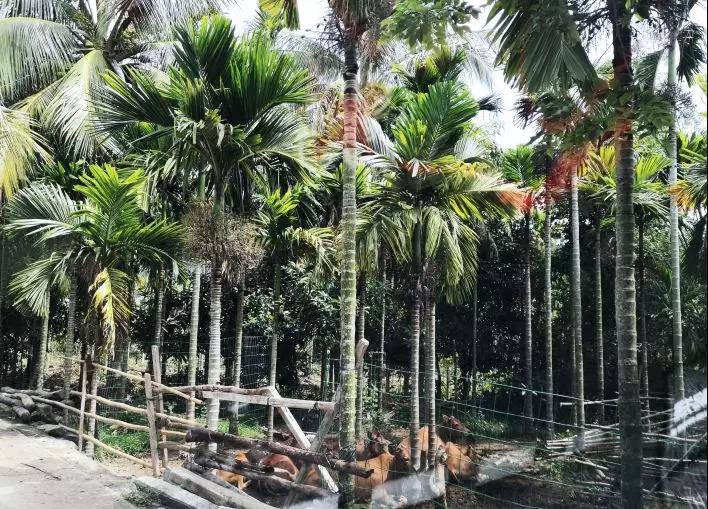 微信圖片_20200428095910