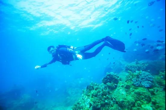 微信圖片_20200428095942