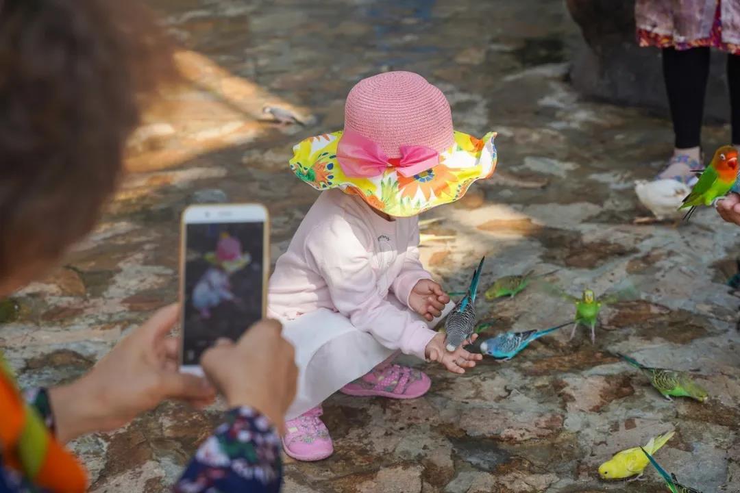 微信圖片_20200501125314