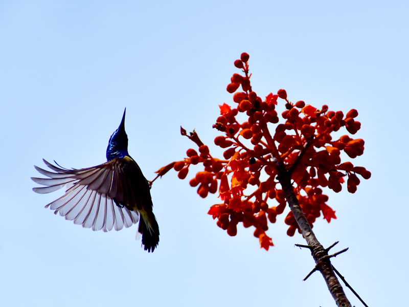 微信圖片_20200507182026 微信圖片_20200507182026