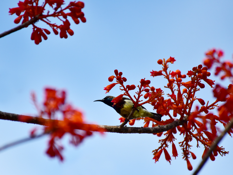 微信圖片_20200507182058 微信圖片_20200507182058