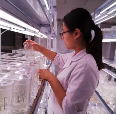 微信圖片_20200506144727