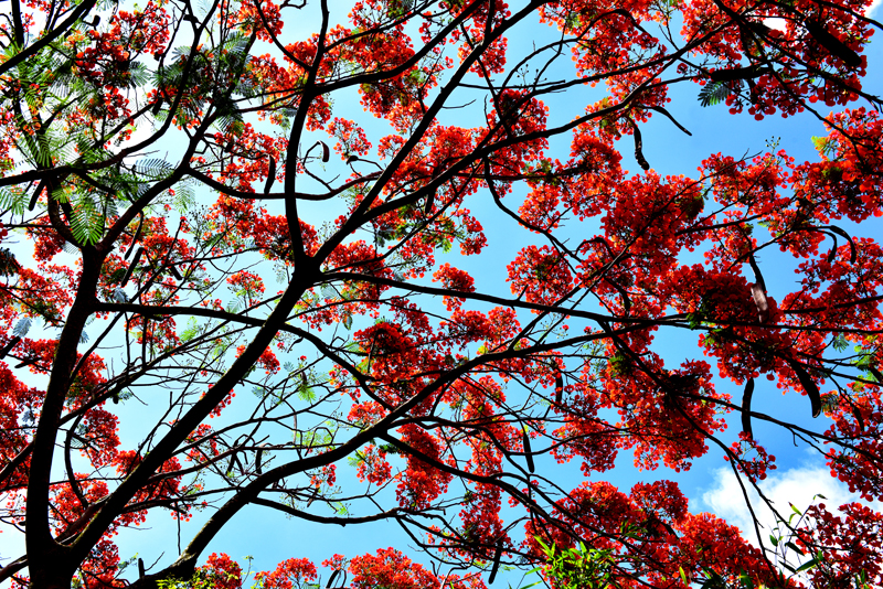 微信圖片_20200609181905