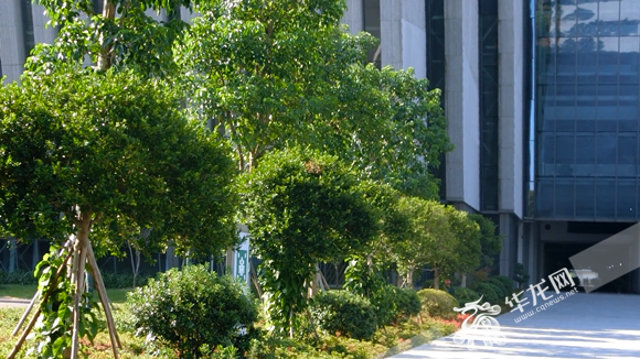 3abd31eb-26d2-4dd5-98fa-91c28d569ace