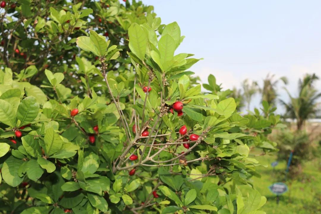 微信圖片_20200922182112 微信圖片_20200922182112