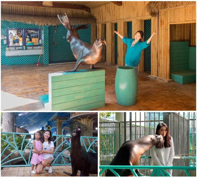 微信截圖_20200930184000