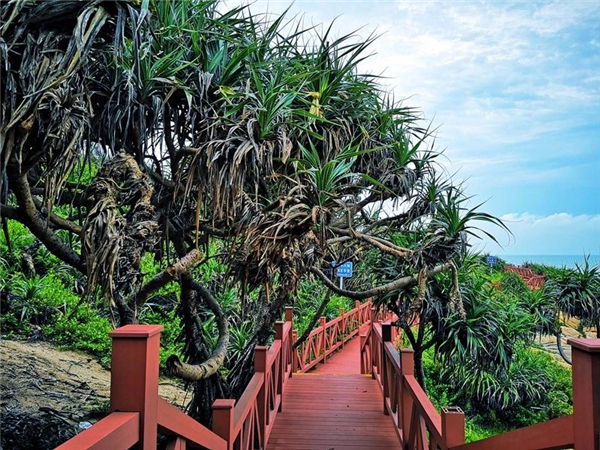 微信圖片_20200930133744