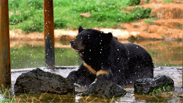 微信圖片_20200930093133