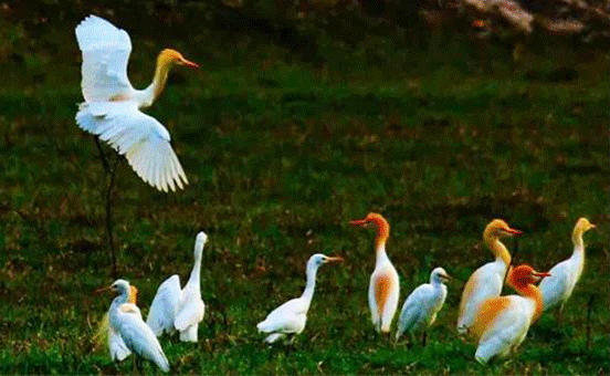 微信圖片_20200930133757