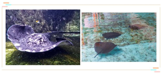 微信截圖_20200930184138