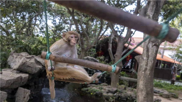 9a7a2899ae6792c045f4efa5b5470f4