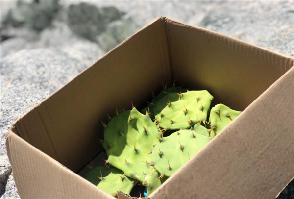 微信圖片_20210307113230