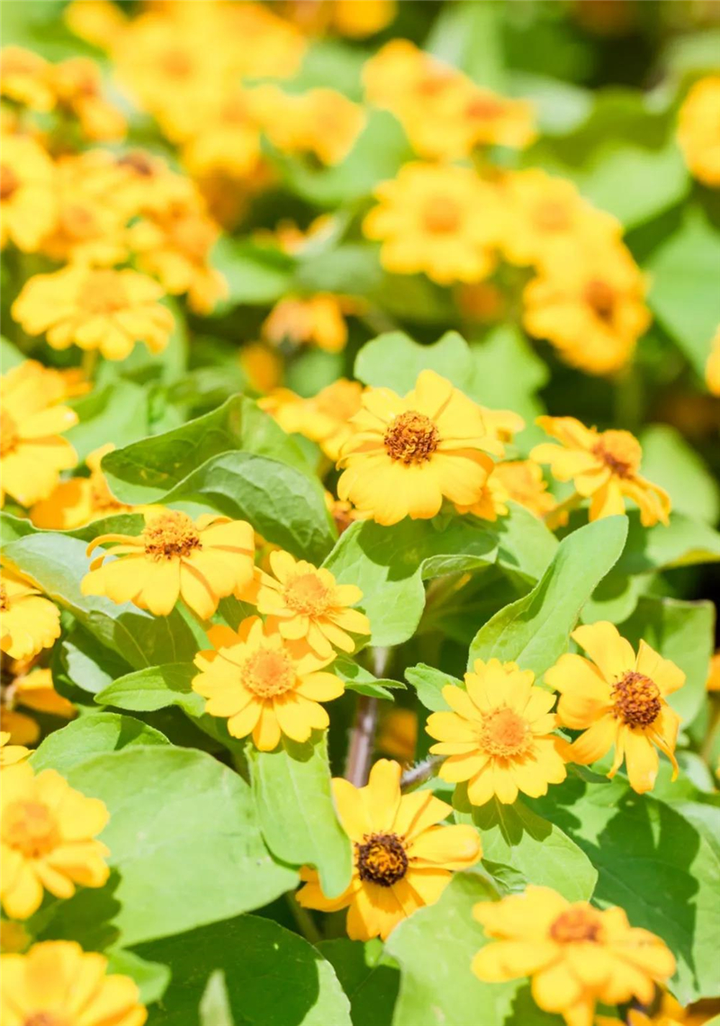 微信圖片_20210310150540