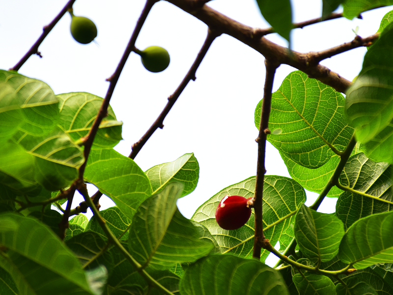 微信圖片_20210412150035