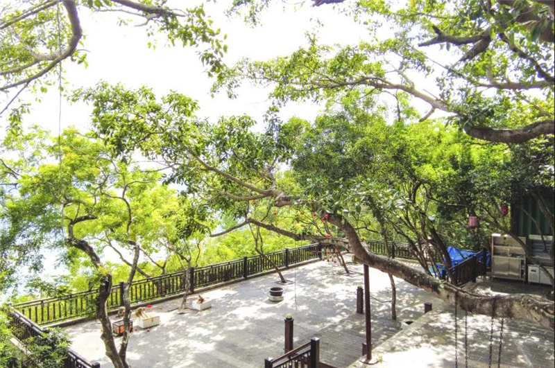 微信圖片_20210513152423 微信圖片_20210513152423