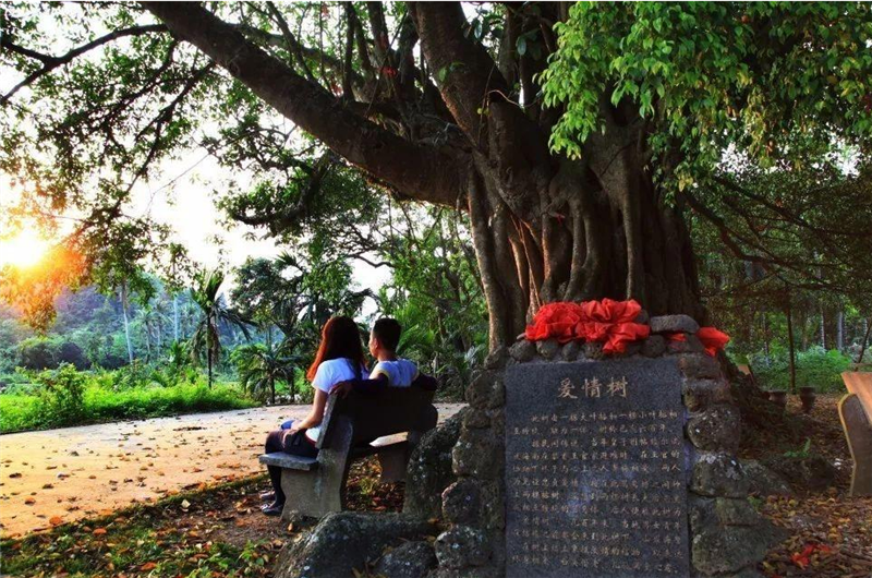 微信圖片_20210517094715 微信圖片_20210517094715