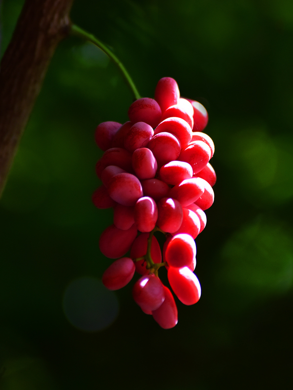 微信圖片_20210622164155 微信圖片_20210622164155