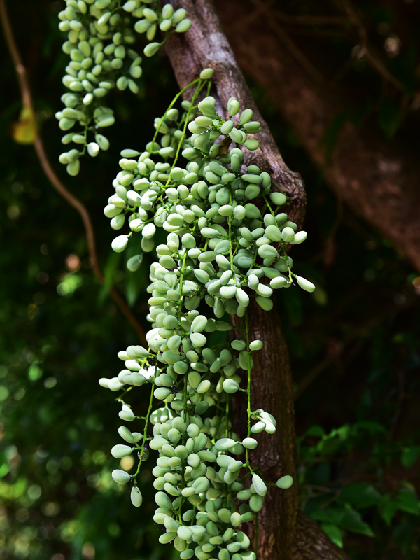 微信圖片_20210622164206 微信圖片_20210622164206