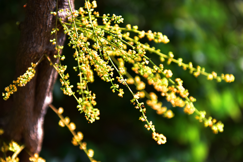 微信圖片_20210622164215 微信圖片_20210622164215